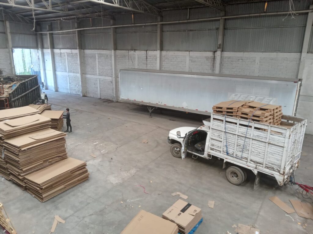 whatsapp image 2025 08 12 at 13.55.37 (3)